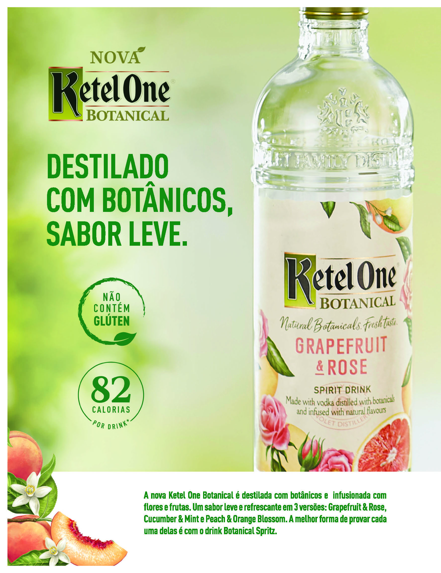 Edição 17