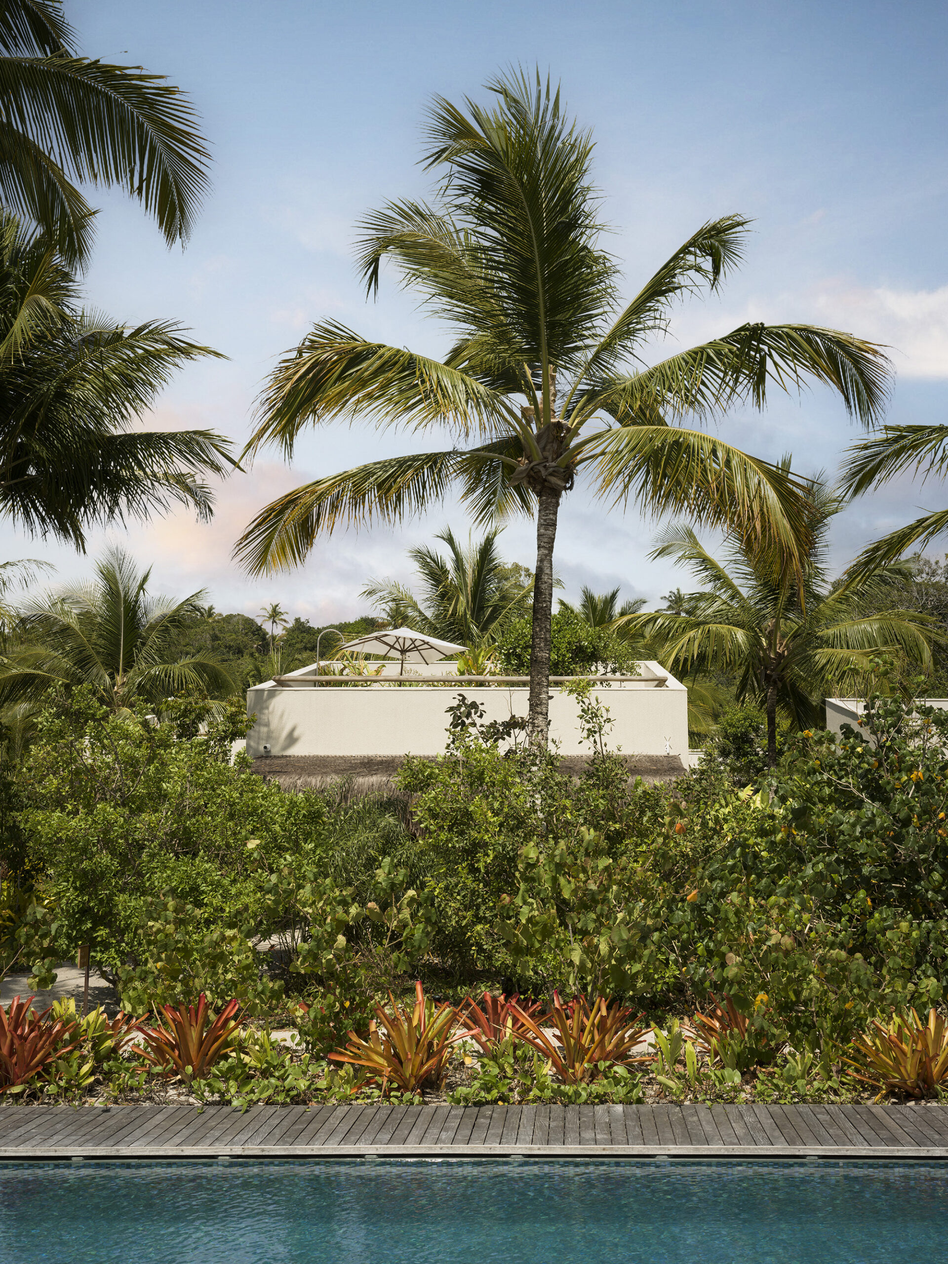 Fasano Trancoso