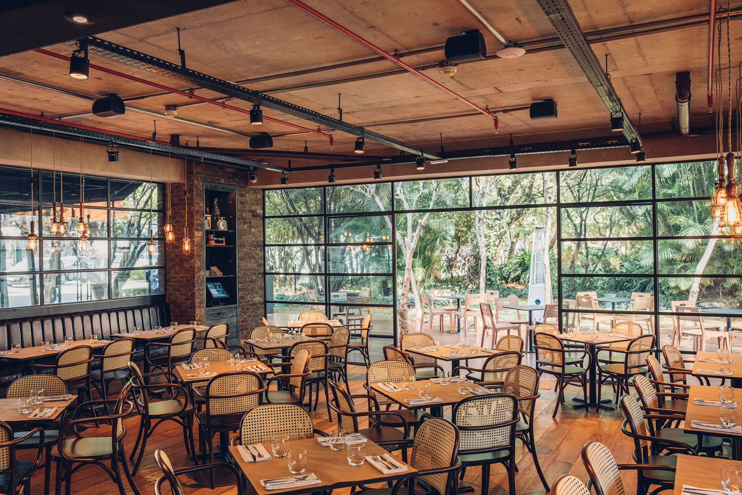 News at Gero Panini