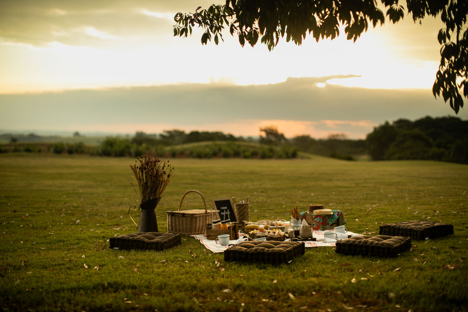 Romantic Picnic Boa Vista