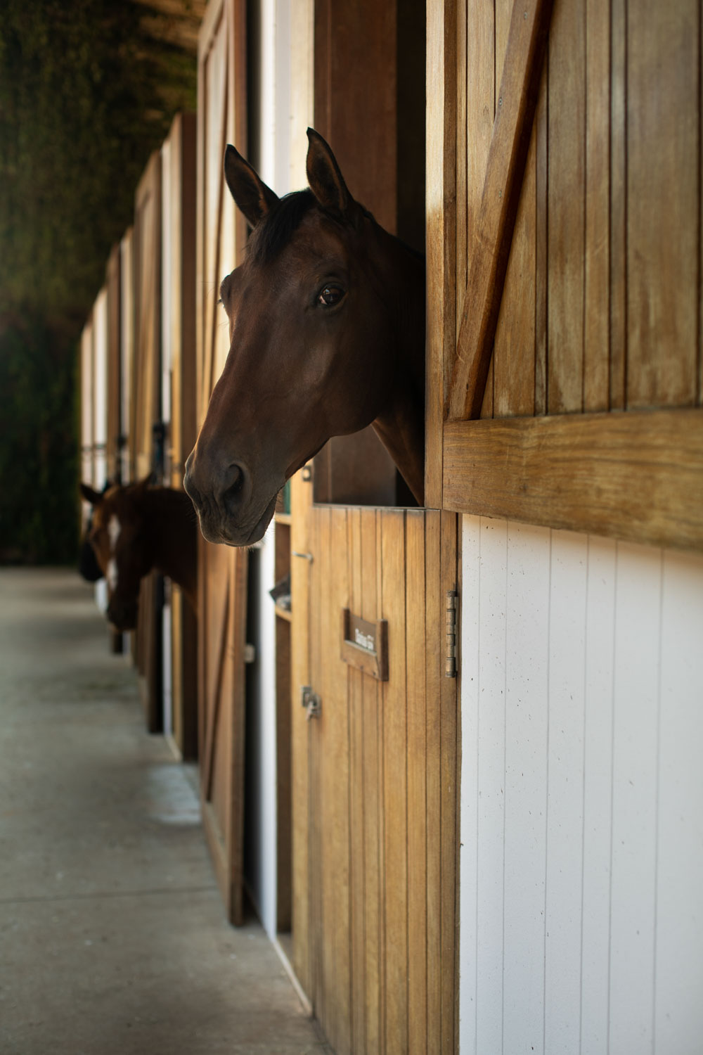 Fasano Boa Vista – Equestrian Center