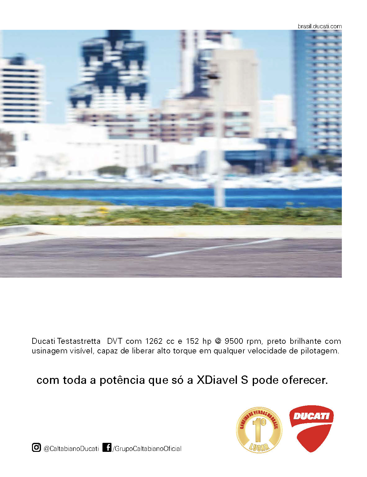 Edição 11