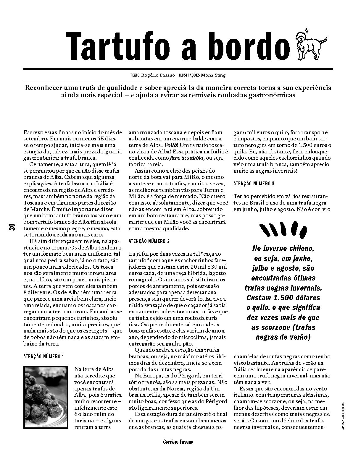 Edição 11