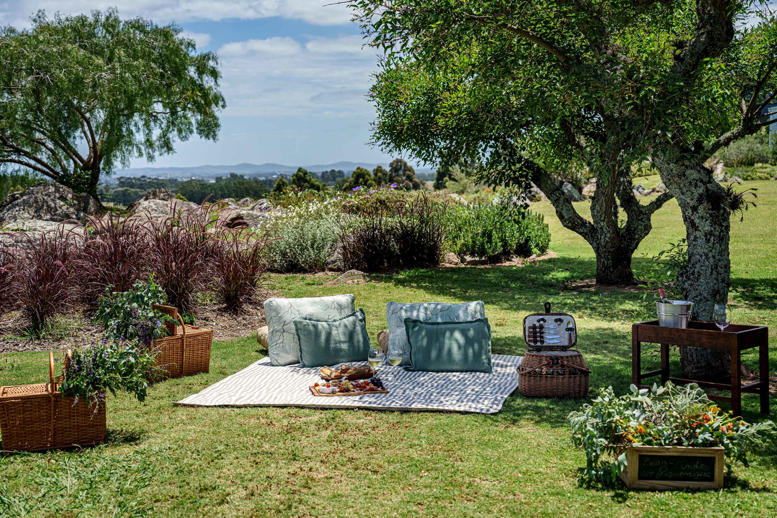 Picnic Punta del Este