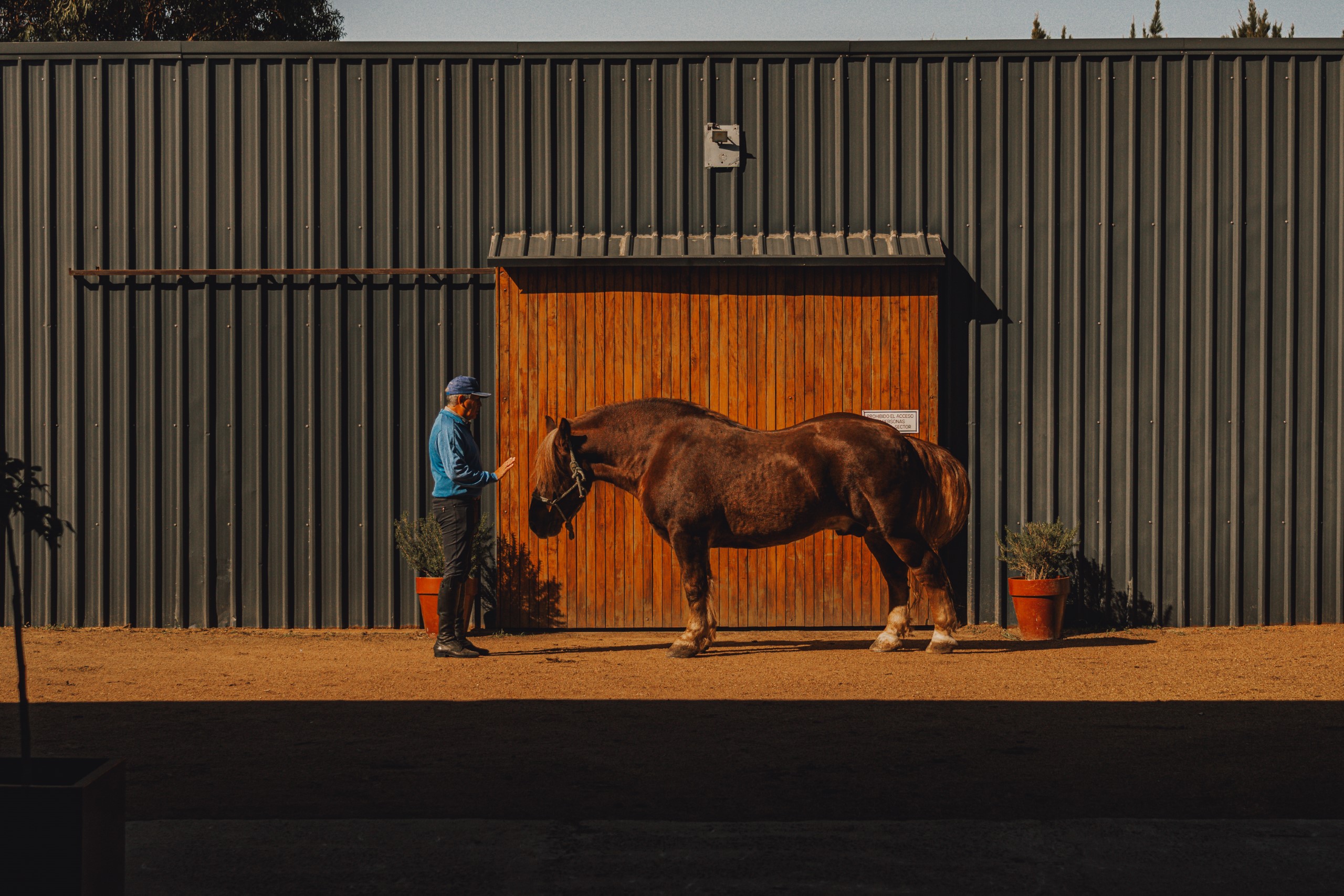 Equestrian Center