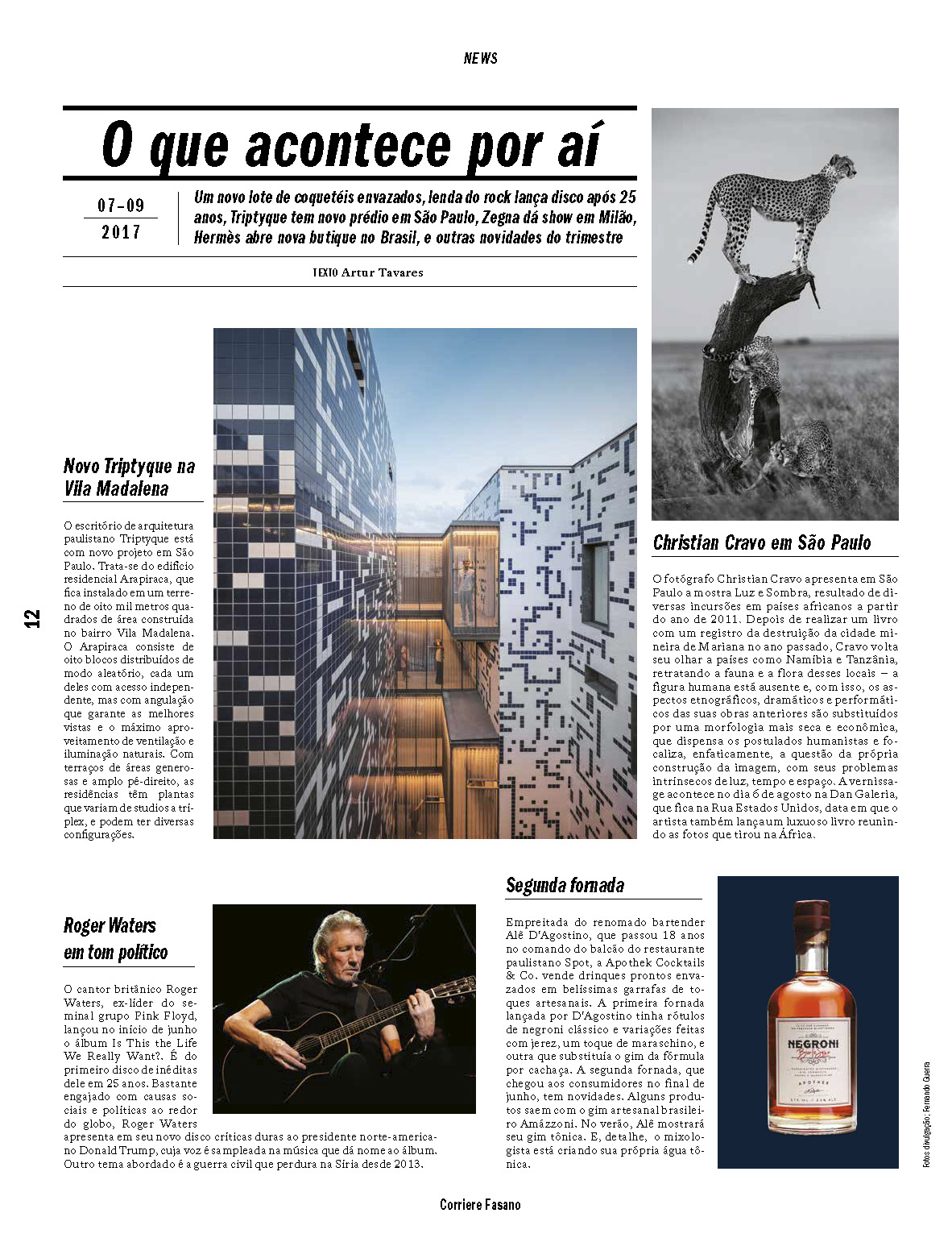 Edição 6