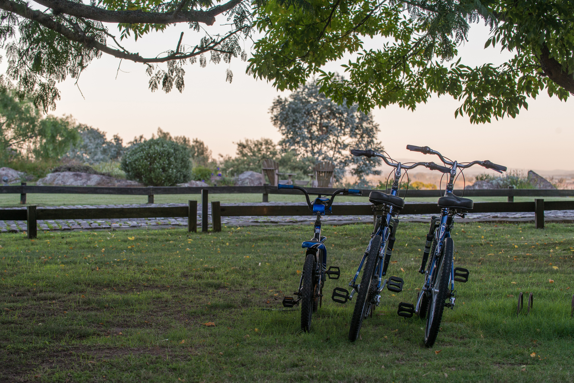 Bicycle Ride & Healthy Picnic
