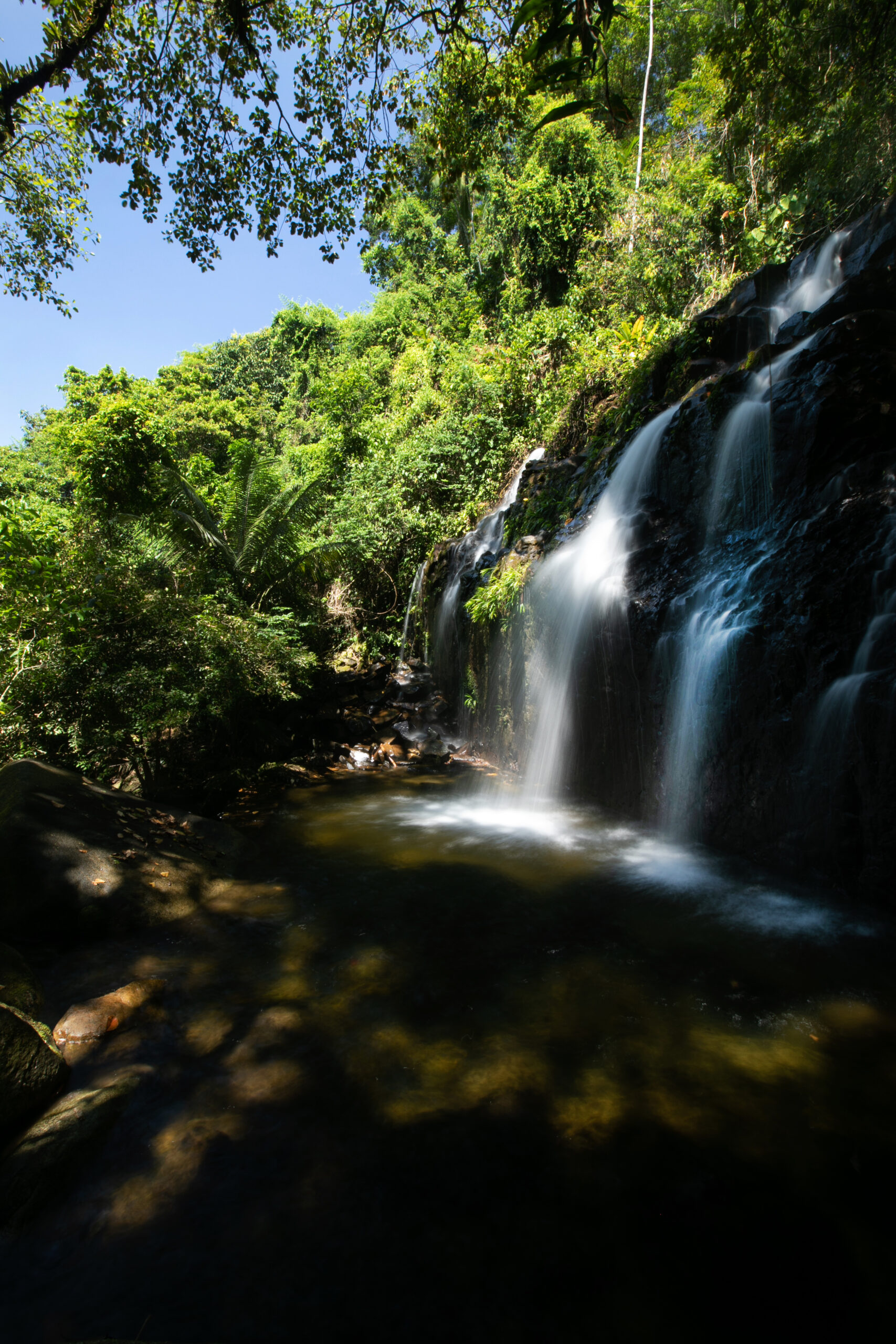 Flavors of the Atlantic Forest