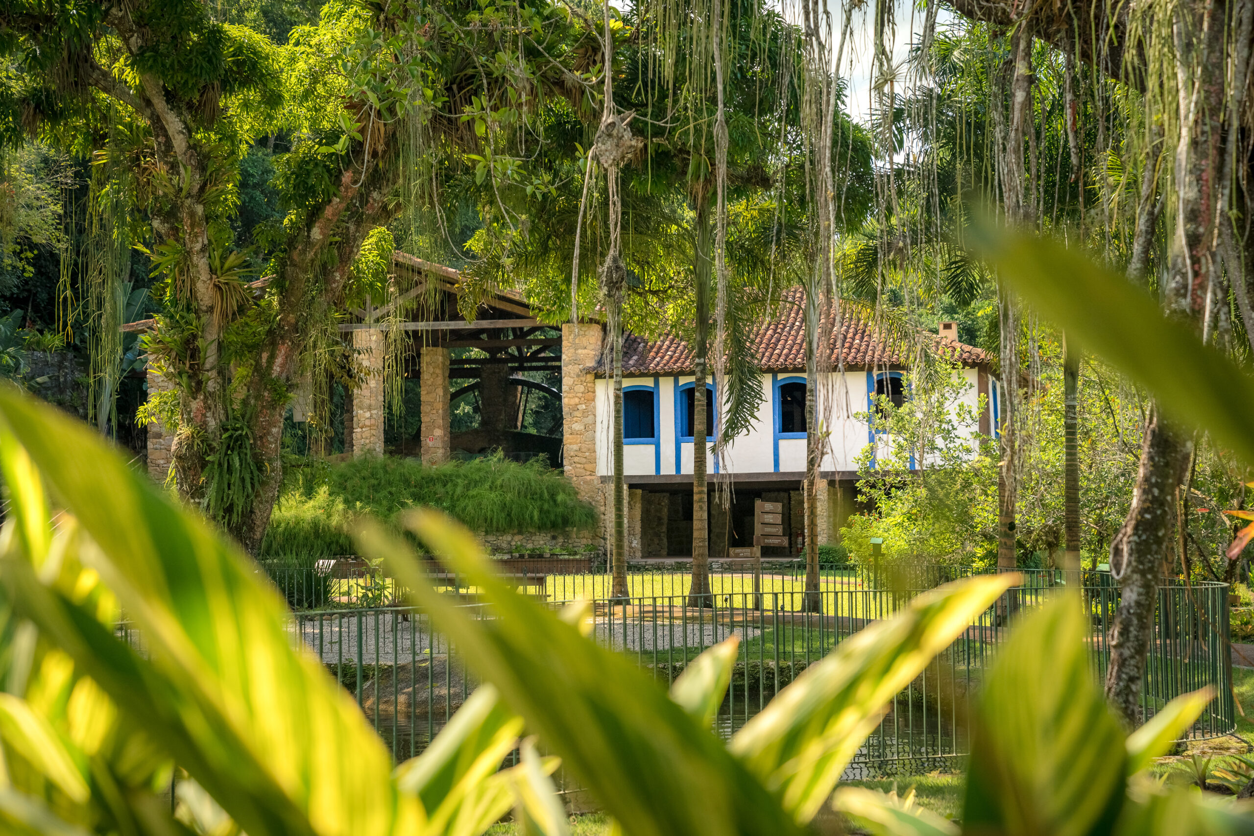 Flavors of the Atlantic Forest