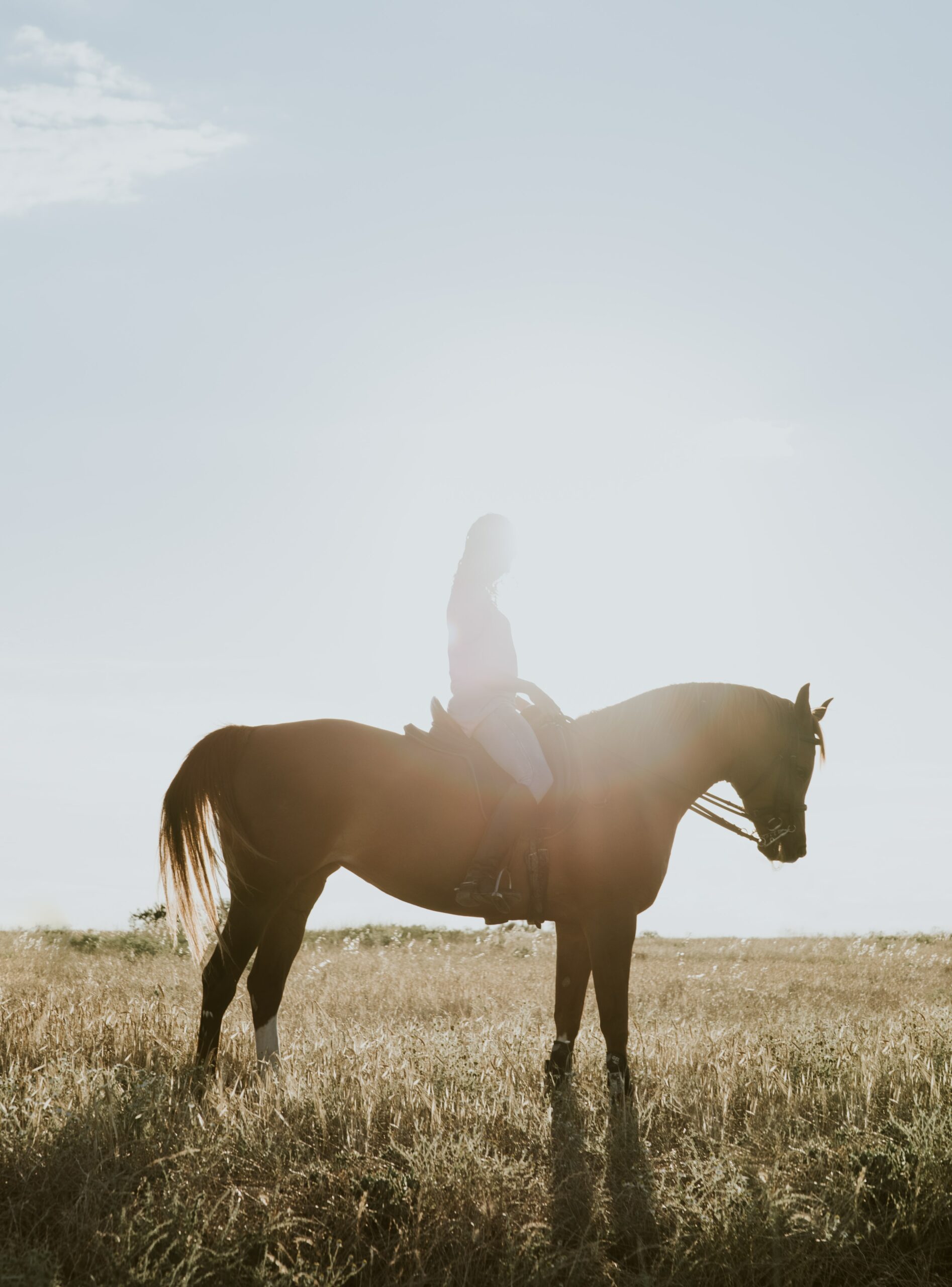Horseback Riding & Cheese Board