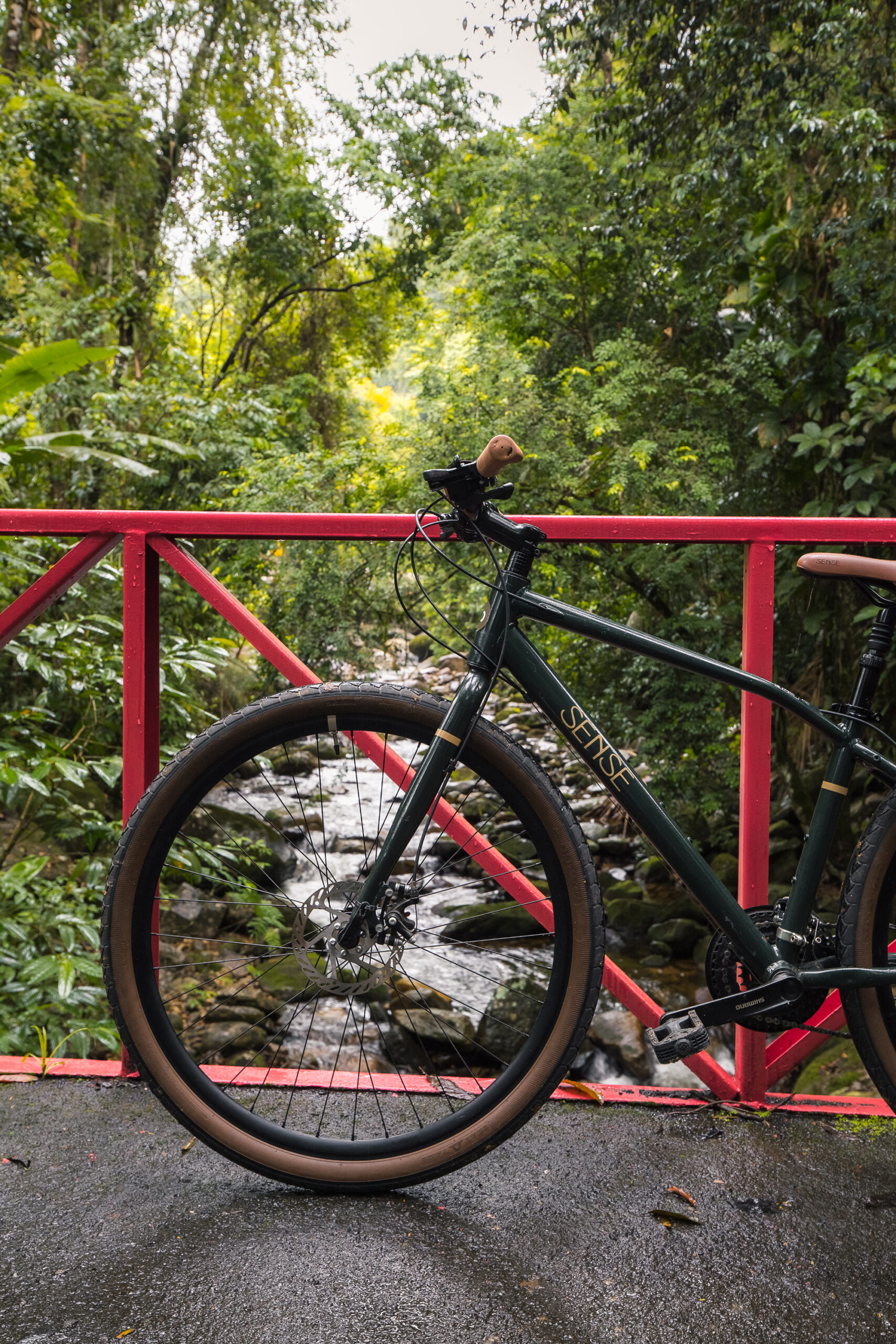 Bike ride